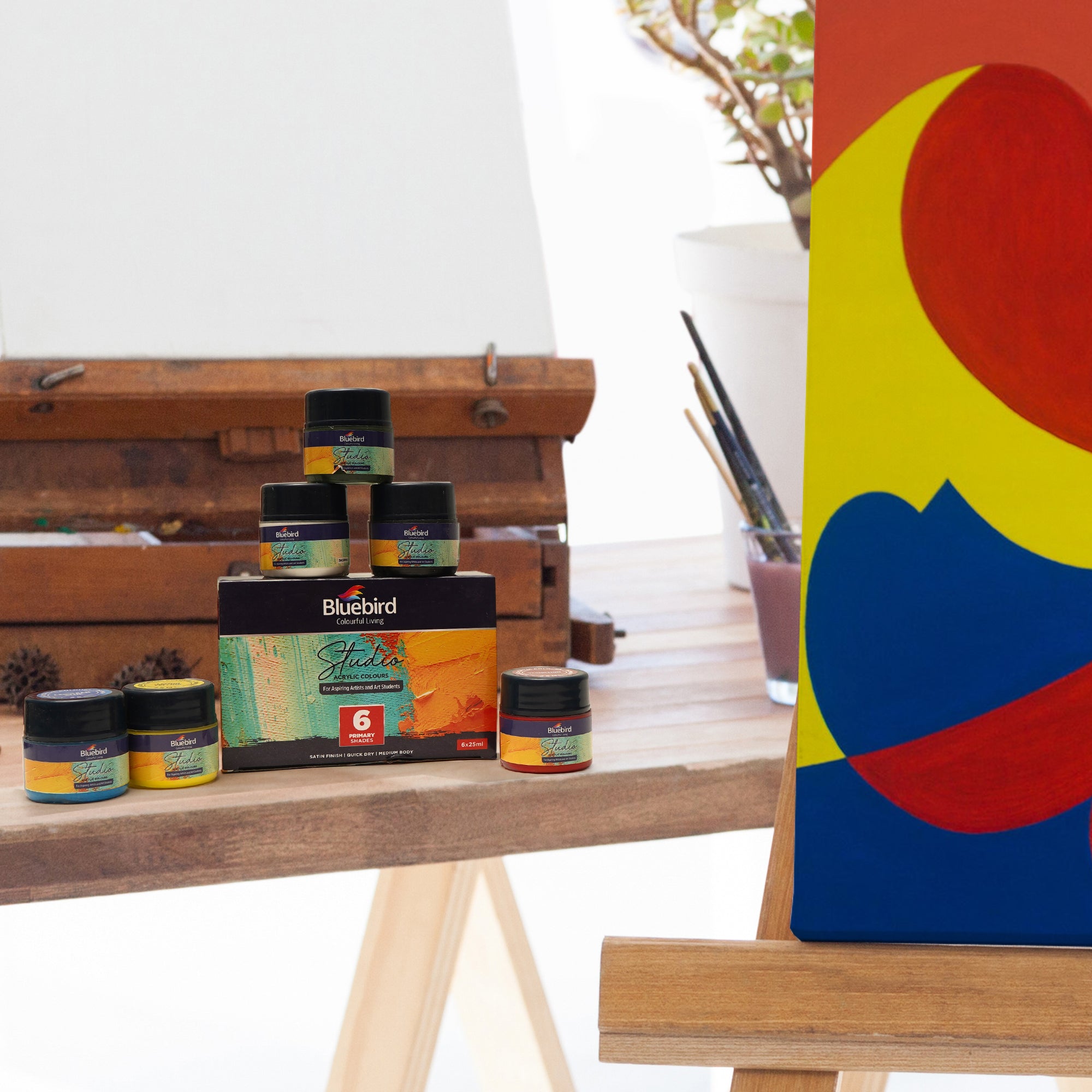 Bluebird Acrylic Paint Primary Colors Student DIY Painting Pack Non-Toxic Art & Craft for Artists, Kids, Adults & Hobby Painters Set of 6 x 25 ml