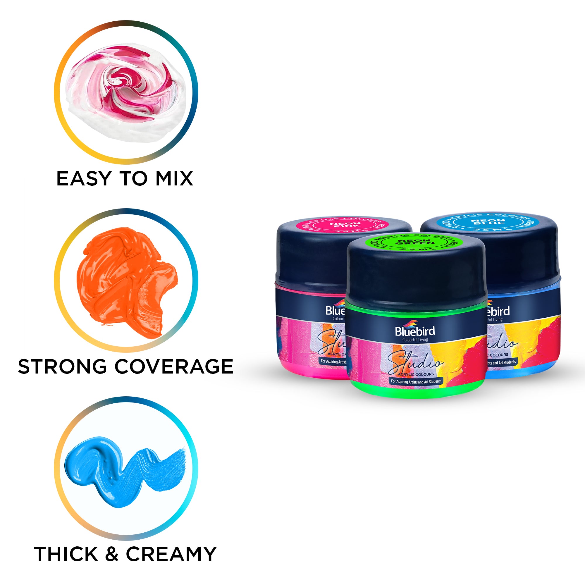 Bluebird Acrylic Paint Primary Colors Student DIY Painting Pack Non-Toxic Art & Craft for Artists, Kids, Adults & Hobby Painters Set of 6 x 25 ml